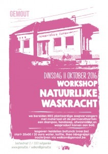 workshop natuurlijke waskracht