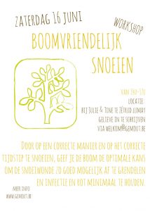 Workshop "Boomvriendelijk snoeien" @ Julie & Tine | Jodoigne | Wallonie | België